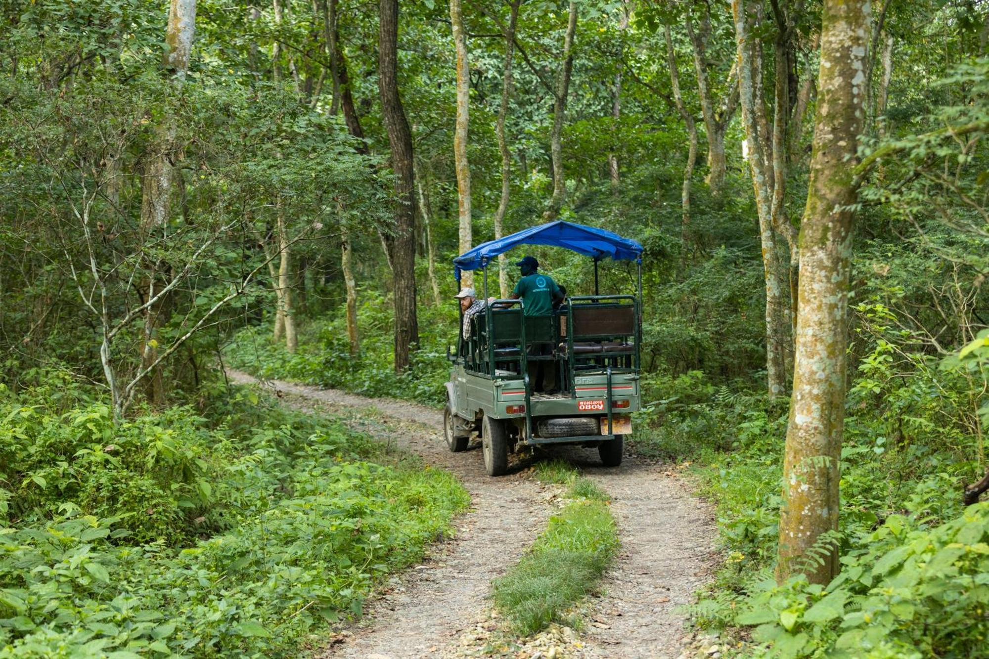 Hotel Parkside & Swimming Pool-Between Greenery And Azure ,Your Perfect Retreat Chitwan Eksteriør bilde